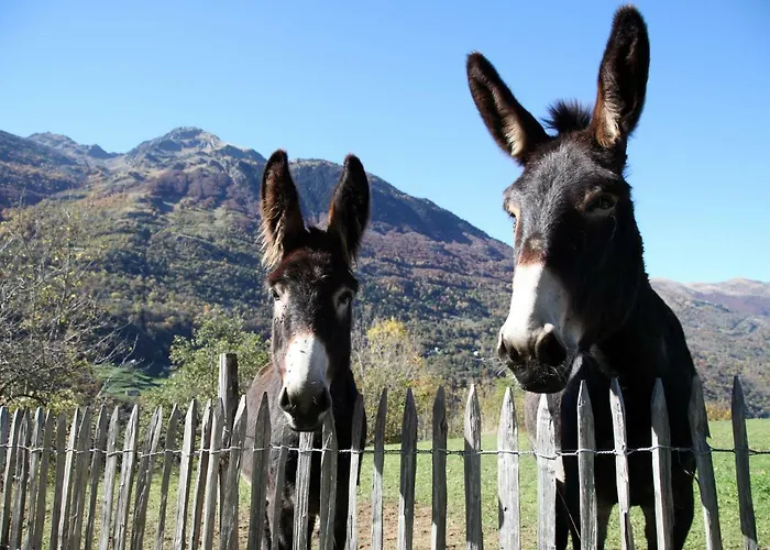 Roulottes Montagne Pyrenees Maison d'hôtes 3*