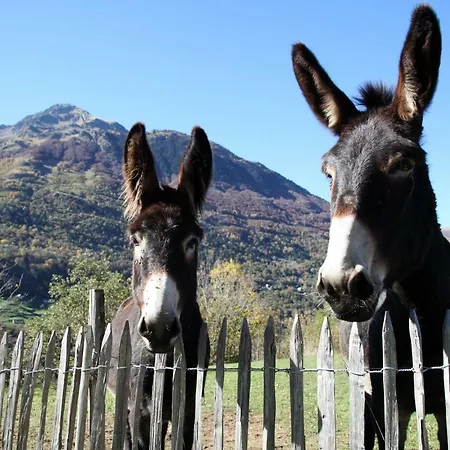 Roulottes Montagne Pyrenees Penzion 3*